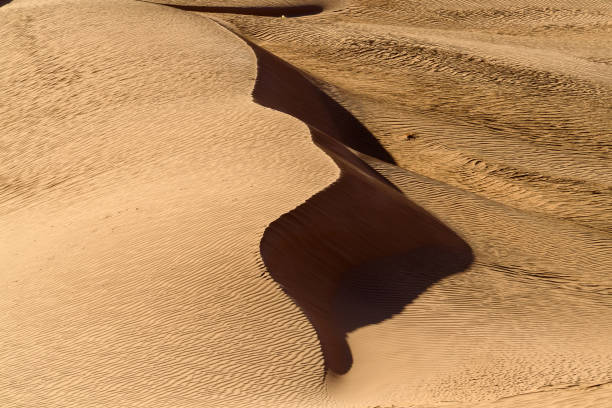 istock Dunes of the Sahara desert 1013640552