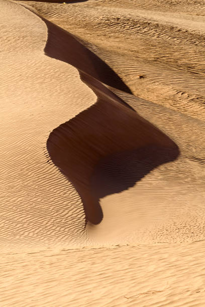 istock Dunes of the Sahara desert 1013640570