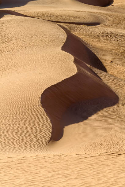 istock Dunes of the Sahara desert 1013640666