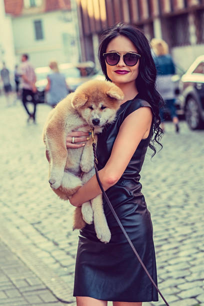 mujer con un perrito perro. - women sunglasses little girls glamour fotografías e imágenes de stock