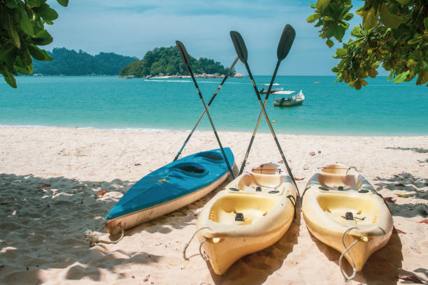 istock Three Watersport kayaks with paddles drying out 1013651568