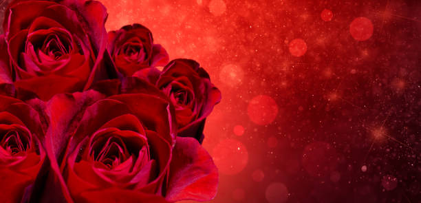 istock Banner Red rose bokeh red background Have space to enter text 1013655584