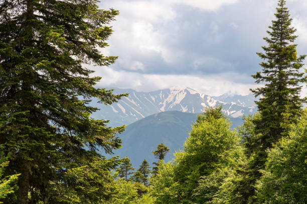 istock Snow peaks in the summer 1013665920