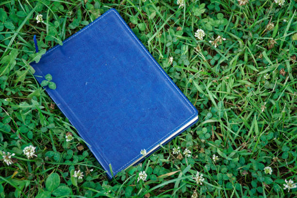 istock Blue notebook on the green grass in park 1013671528