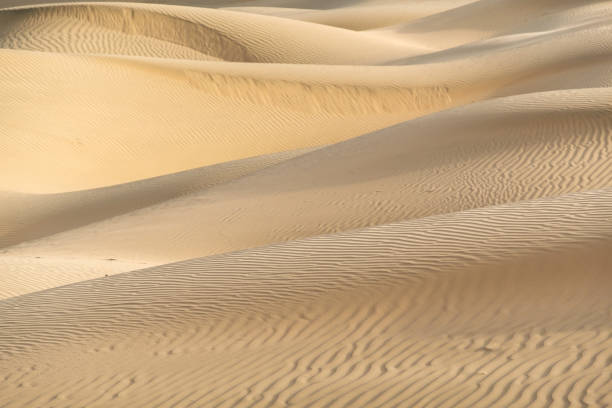 istock Beautiful sand dune in Thar desert, Jaisalmer, Rajasthan, India. 1013671748