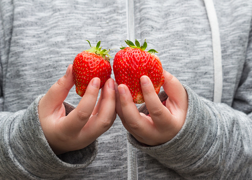 Kid's hands holding strawberries at the garden in Japan