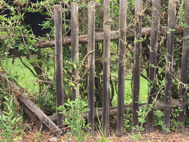 istock Wooden fence 1013675174