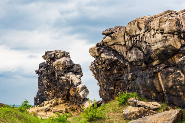 istock Landscape with trees in the Harz area, Germany 1013675686