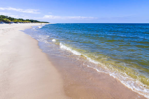 istock Sandy beach on Hel Peninsula, Baltic sea, Poland 1013675966