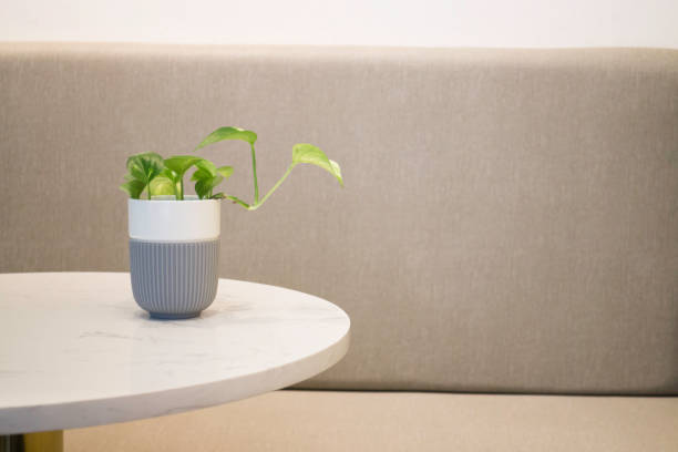 istock Green plant pot on the table 1013694992