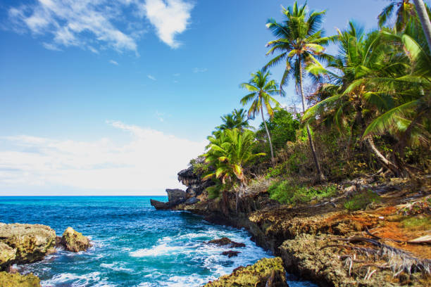 istock Wild tropical rocky shore, bay, lagoon. 1013708272