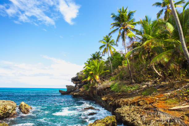 istock Wild tropical rocky shore, bay, lagoon. 1013708428