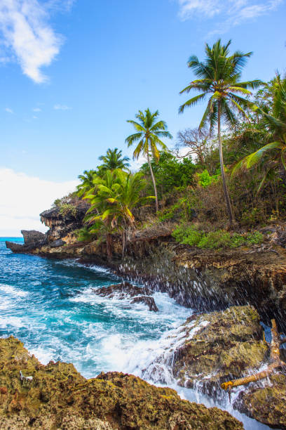 istock Wild tropical rocky shore, bay, lagoon. 1013710550
