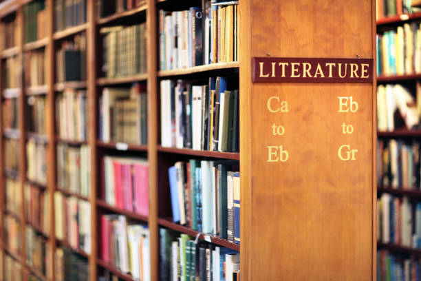 istock Library with books on shelves literature concept 1013711400