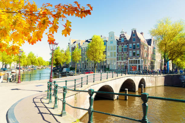 istock Houses of Amstardam, Netherlands 1013714858