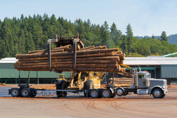 istock Logs unloading off semi truck at lumber yard in Oregon 1013715556