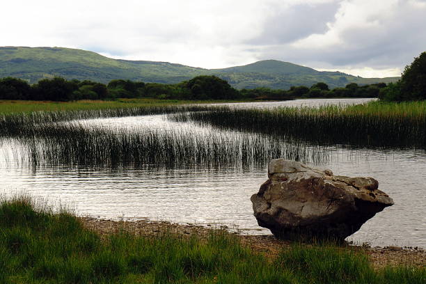 on the lakeshore of the Lough Corrib