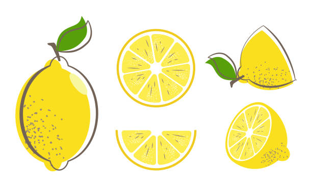 lemon fruit set Fresh lemon fruits with leaf. Lemon vector illustration set. Whole, cut in half, sliced on pieces lemons. Citrus collection. Lemon symbol or icon. citron stock illustrations
