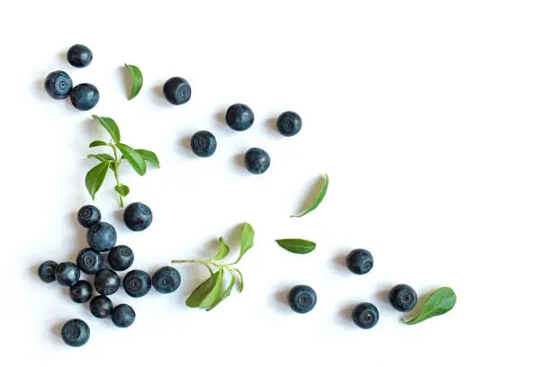 Photo of Fresh blueberries with leaves