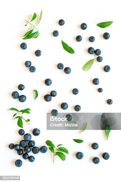 Fresh Blueberries With Leaves Stock Photo - Download Image Now - Blueberry, Bilberry - Fruit, Cut Out