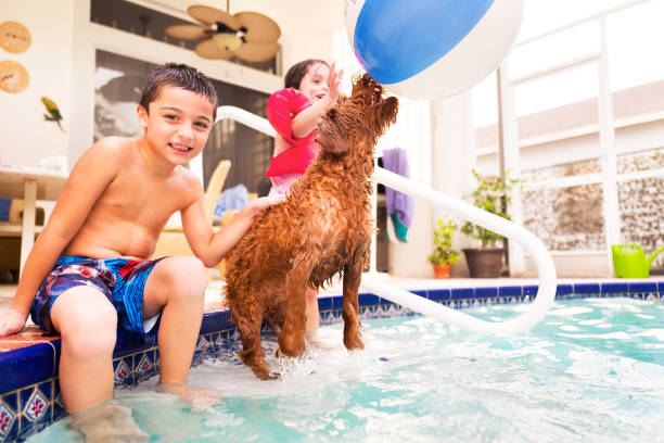 istock children and pet playing in the pool 1013734954