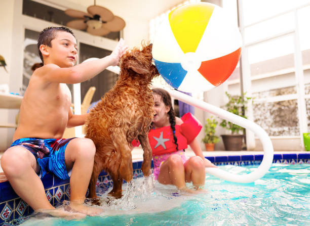 istock children and pet playing in the pool 1013734958
