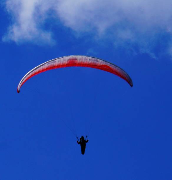 istock Paragliding on a sunny day 1013739516