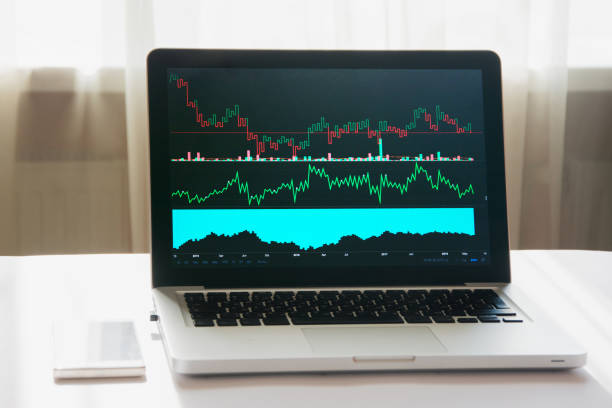 istock Laptop with chart on its display at workplace of economist 1013749008