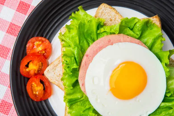 Top view of yummy egg sandwich decorated with sliced tomato on the plate