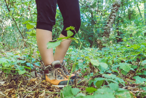 istock Women shoe in deep forest. Exploring nature. 1013752248