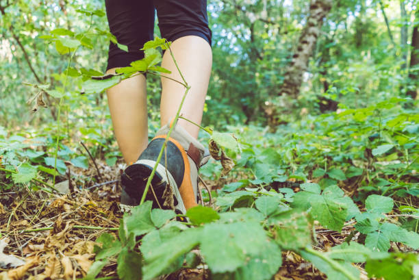 istock Women shoe in deep forest. Exploring nature. 1013754392