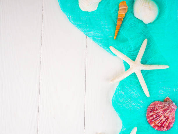 istock seashells, sea stones sea concept, vacation, copy space, flat lay 1013756622