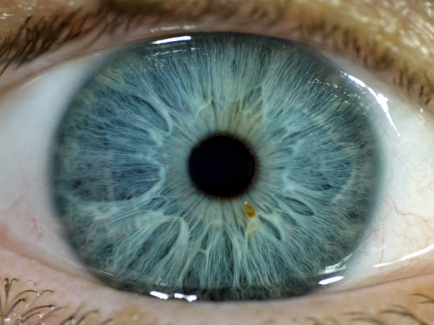 istock Closeup of a blue human eye 1013757656