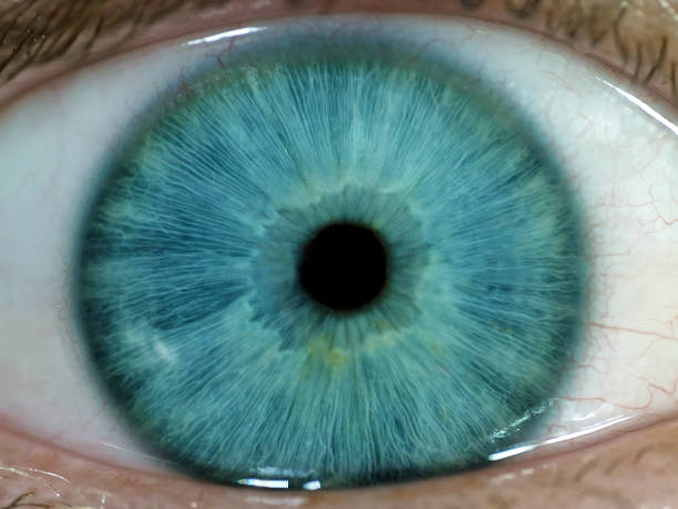 istock Closeup of a blue human eye 1013757676