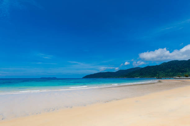 istock Landscape on Tioman island Malaysia 1013773076