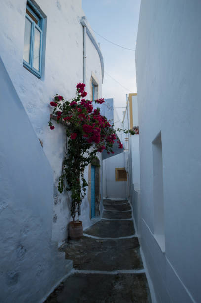 istock Typical Whitewashed Houses and Alley in Plaka, Milos, Greece 1013773230