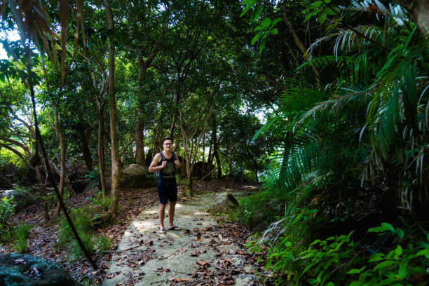 istock Jungle trekking on Tioman island 1013776972