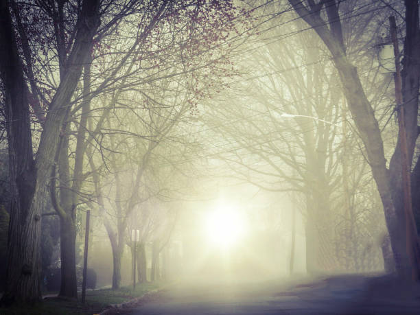 istock Bright Light Through The Fog On A Street 1013777854