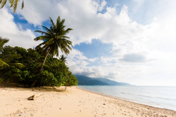 istock Landscape on Tioman island Malaysia 1013784408