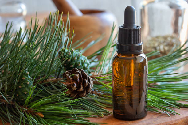 istock A bottle of pine essential oil with fresh pine branches 1013786062