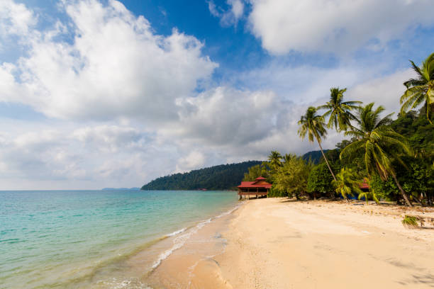 istock Landscape on Tioman island Malaysia 1013788262