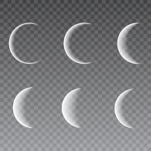 Vector illustration of White moon phases on a transparent background. Vector Illustration.