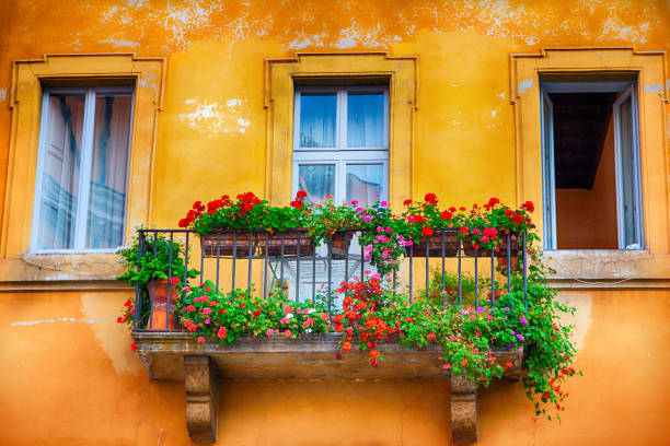 window in rome - ornamental garden europe flower bed old fashioned imagens e fotografias de stock