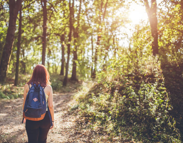istock Traveler woman with backpack walking in forest. 1013791840