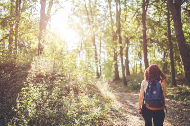 istock Traveler woman with backpack walking in forest. 1013792126