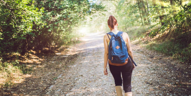 istock Backpacker woman walking into the forest. 1013795800