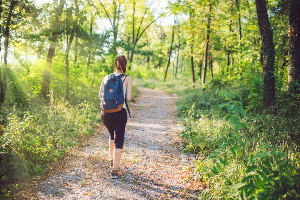 istock Back view photo of female backpacker walking on forest path. 1013798386