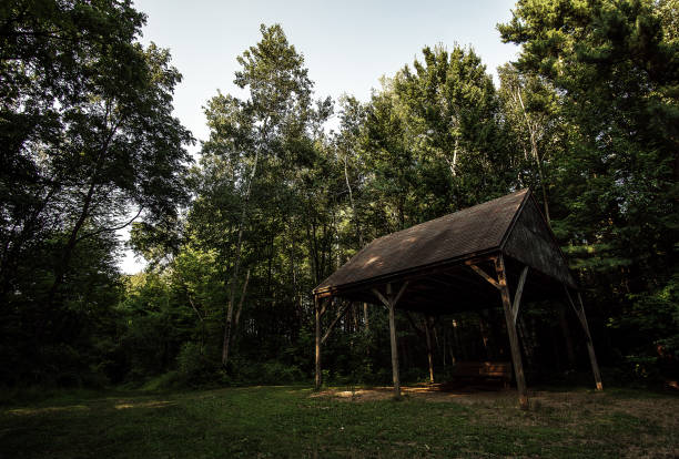 istock A Pavilion In Nature Park 1013806848
