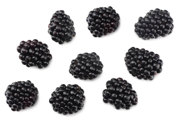 istock blackberries isolated on a white background. top view 1013806998