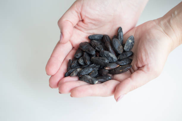 istock tonka beans in female hands 1013816920